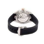 OMG Seamaster Silver Dial Replica - Image 3