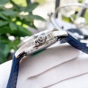 OMG  Seamaster Diver 300M  8800 Diver - Image 8