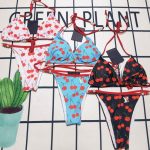 L X V Bikini（Multiple colors）