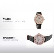 APS Watch Replica - Image 7