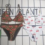 L X V Bikini（Multiple colors）