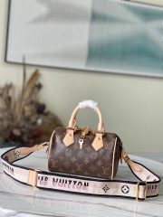 L X V  SPEEDY BANDOULIÈRE  M46222 size：20.5x13.5x12cm（Multiple colors）