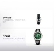 PP watch Replica 41mm - Image 4
