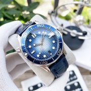 OMG  Seamaster Diver 300M  8800 Diver - Image 5