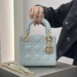 DR Lady bags 17x15x7cm