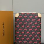 L X V Suitcase Size:55x38x21cm