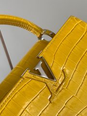 L X V Capucines bag N92967 31.5x20x11cm - Image 5