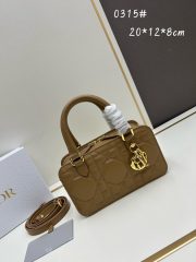 DR Handbag 20x12x8cm（Multiple colors） - Image 4